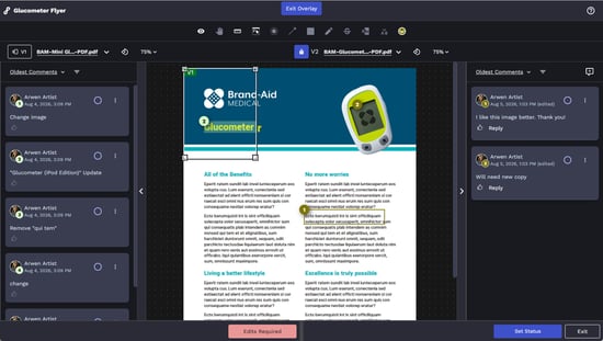 Review Version Overlay