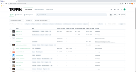 asset list view