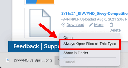 Chrome - always open files of this type