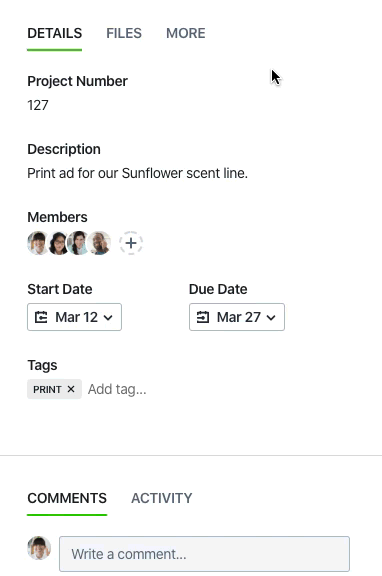 Pinning custom fields