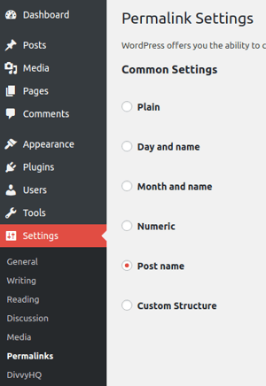 Permalink Settings Check