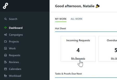 My requests option