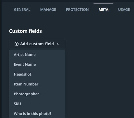 Custom Fields dropdown