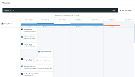 Viewing Individual Work Items in Workload