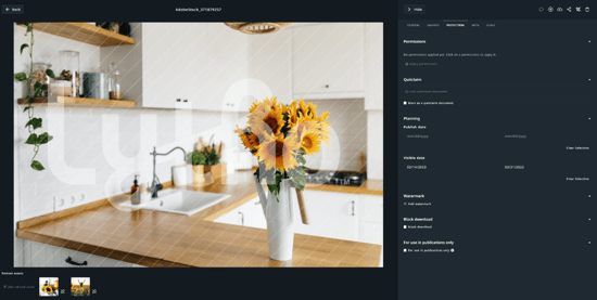 Watermark on asset