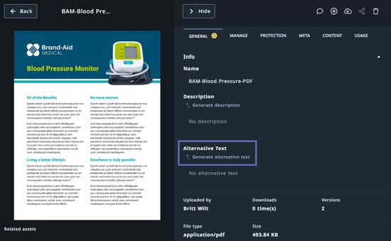 alternative text field
