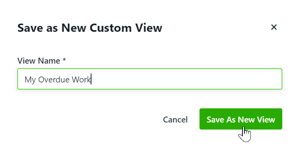 Save As New View button