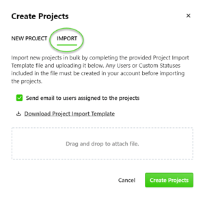 Project Import option