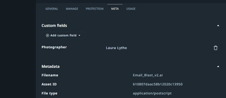 Custom Fields