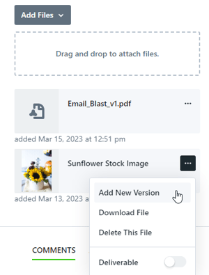 Add new version button