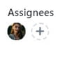 Assignees