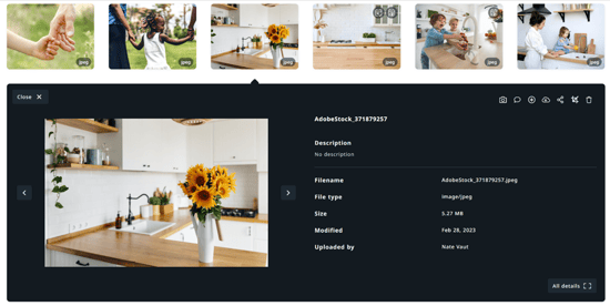 Asset Preview Window