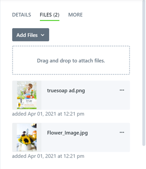 Files tab