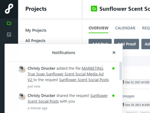 Notification example