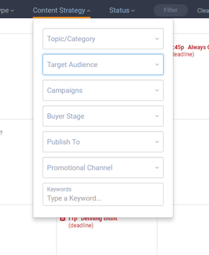 Content Strategy Filters