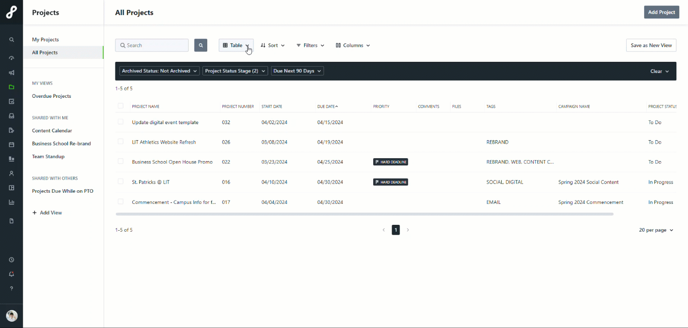 Project Gantt custom view