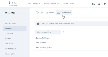 Custom fields tab