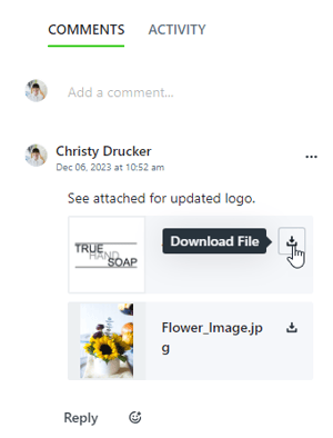 Download file option