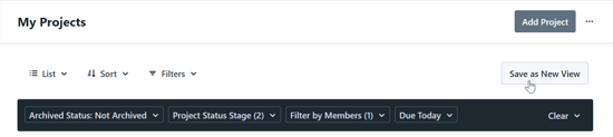 save as new view button