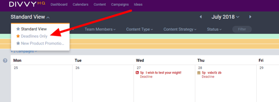 Setting a Default Saved View