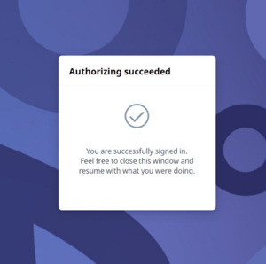 successful authorization screen