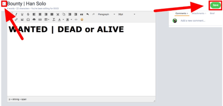Editor view