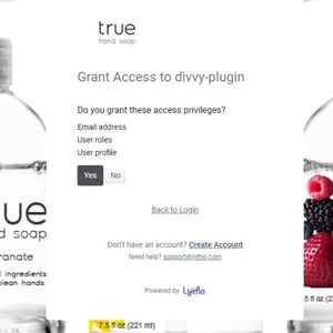 Grant access modal