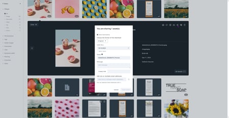 Sharing assets