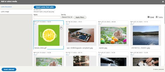  Drupal asset list 