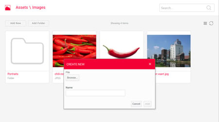 File upload option