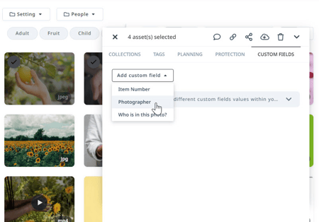 Adding Custom Fields to Assets in Bulk