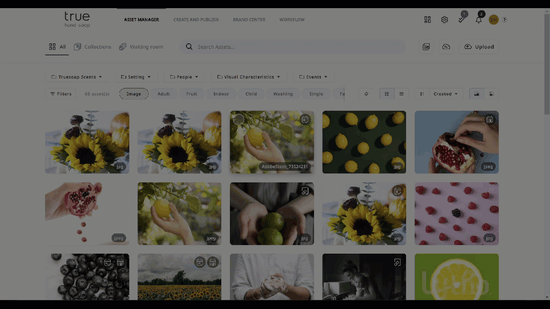 Create collection button