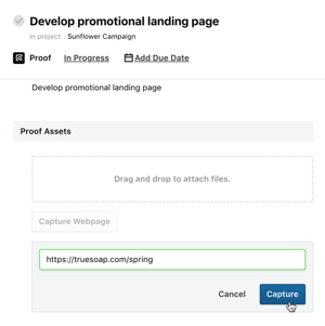 Web capture option