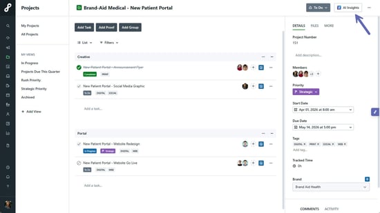 AI Project Insights button
