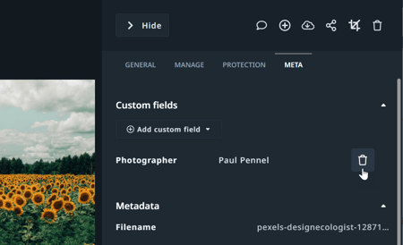 Delete custom field