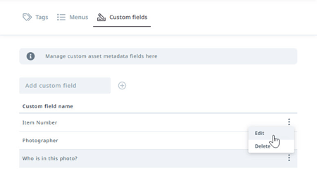 Editing custom field