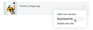 Download file option