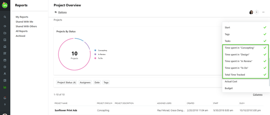 Project report columns
