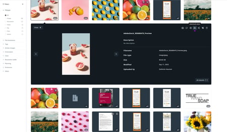 Download Asset from asset information menu