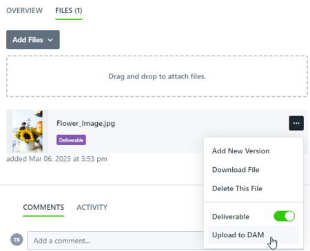 upload to DAM button