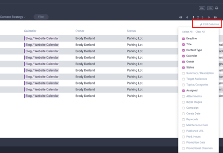 Editing columns in ideas interface