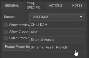 Dynamic Asset Provider button