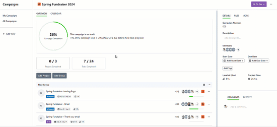 Add Project button - populated Campaign