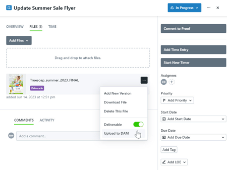 Mark File as a Deliverable