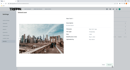 View and restore deleted assets