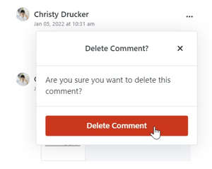  Delete Comment 